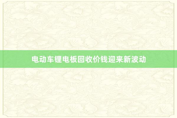 电动车锂电板回收价钱迎来新波动